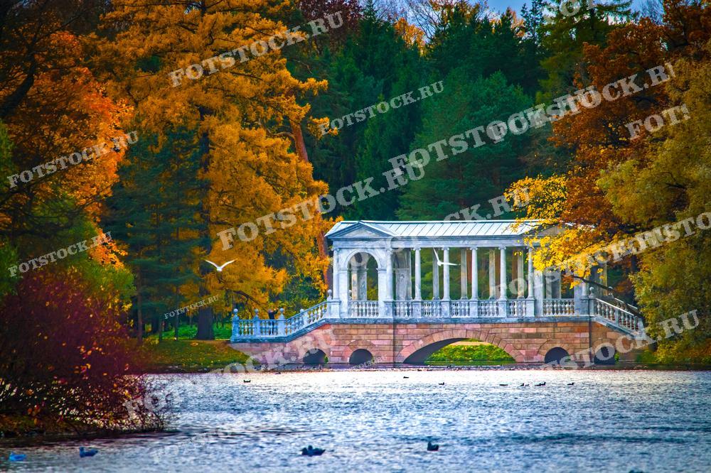 На фотографии изображен Мраморный мост в Екатерининском парке в Царском Селе (Пушкин) в Санкт-Петербурге. Окружающие деревья окрашены в яркие осенние цвета. Фото может использоваться для туристических буклетов, открыток и рекламных материалов.
